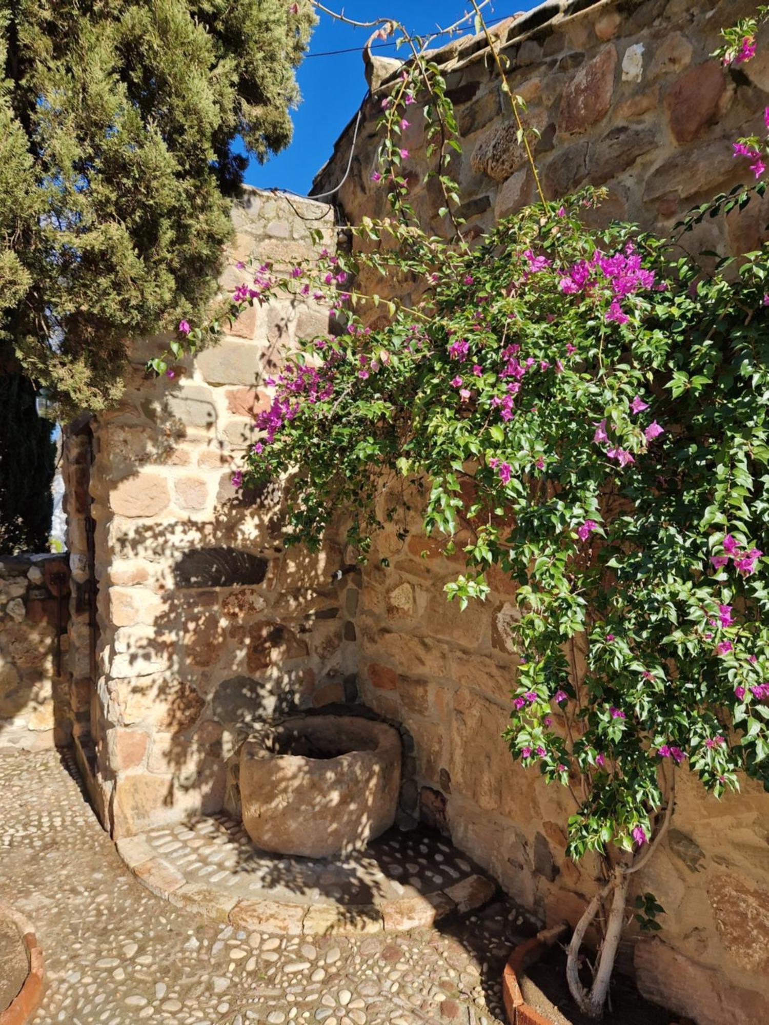 Colonos Alojamientos Rurales Гуарроман Экстерьер фото